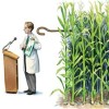 What biotech doesn't want you to know about GMOs
