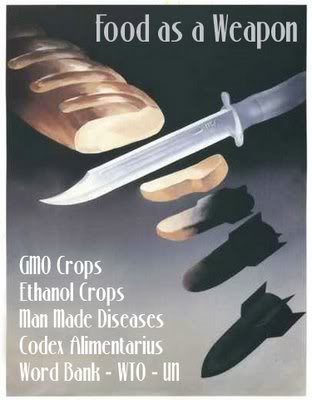 93% du soja et 80% du maïs aux USA viennent de semences OGM de Monsanto