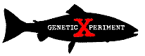 Coalition Demands FDA Deny Approval of Controversial Genetically Engineered Fish