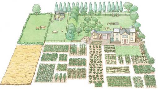 Your 1-acre homestead can be divided into land for raising livestock 